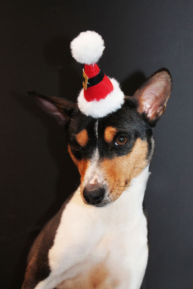 Photograph by Диана Ульянцева