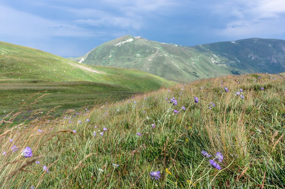 Photograph by Евгений Кузьмин