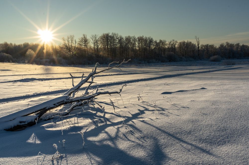 Photograph by Евгений Кузьмин