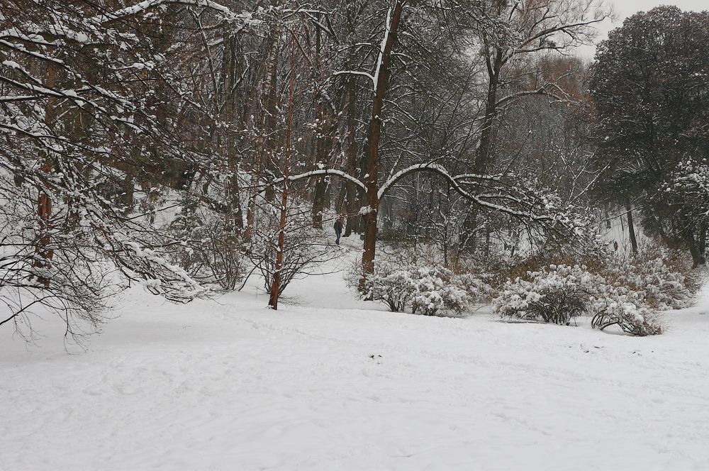 Photograph by Elena Zorina