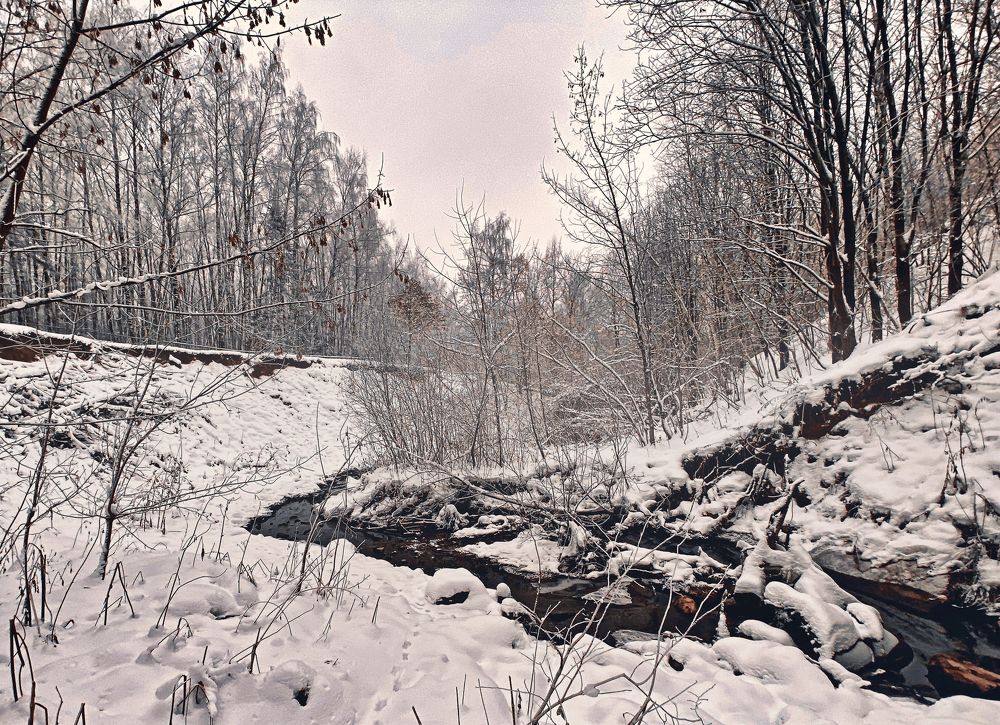 Photograph by Lana Cardi