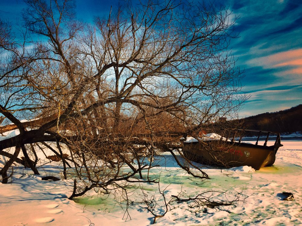 Photograph by Lana Cardi