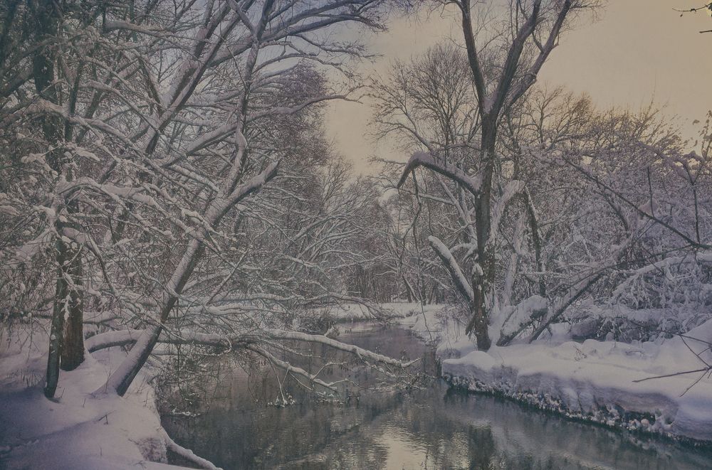 Photograph by Lana Cardi