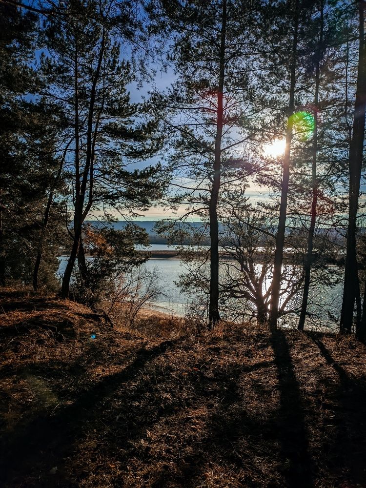 Photograph by Шевелева Анастасия