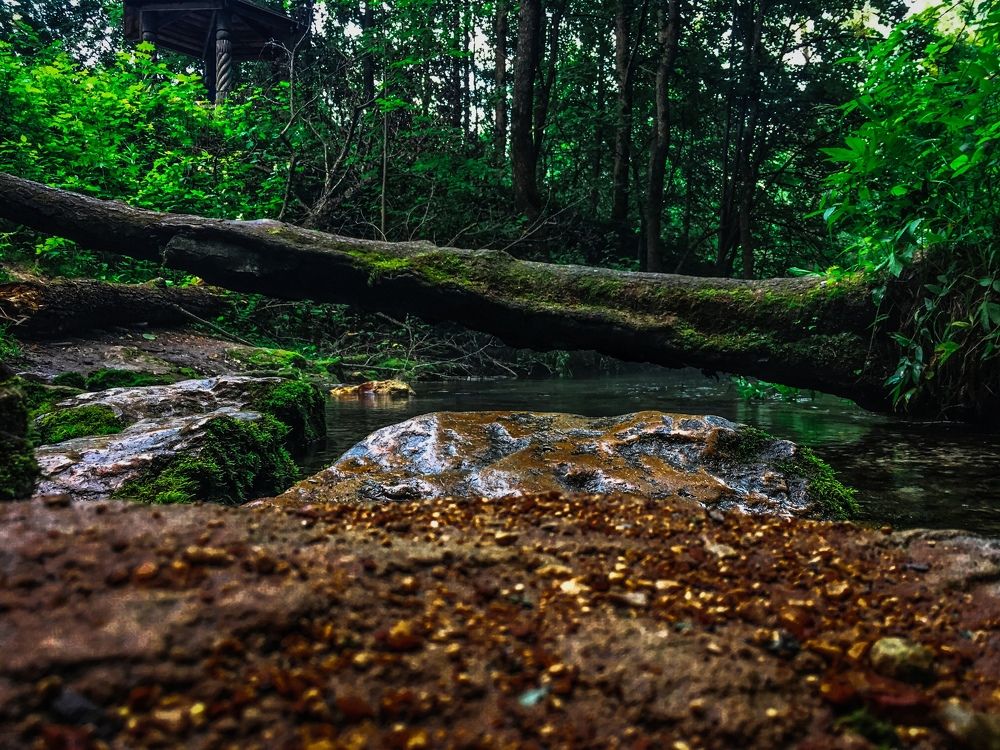 Photograph by Шевелева Анастасия