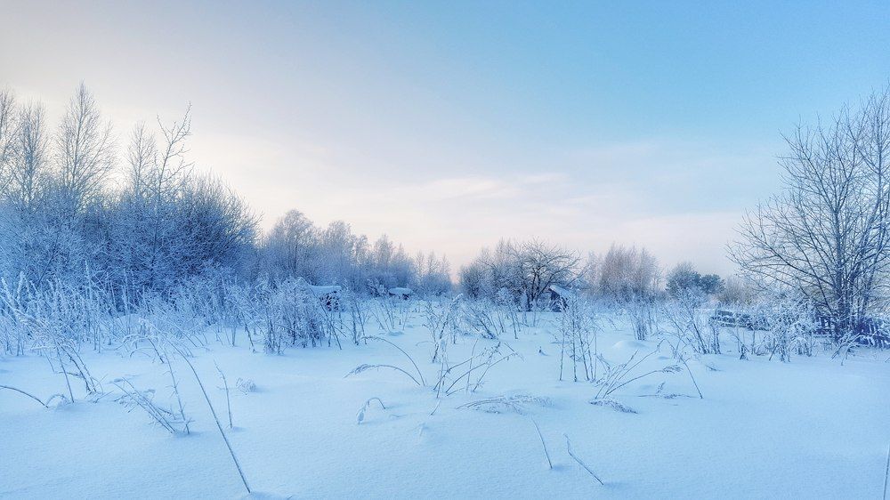 Photograph by Митюшкова Алёна