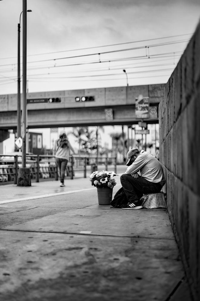 Photograph by Kevin Williams Huamán Clímaco