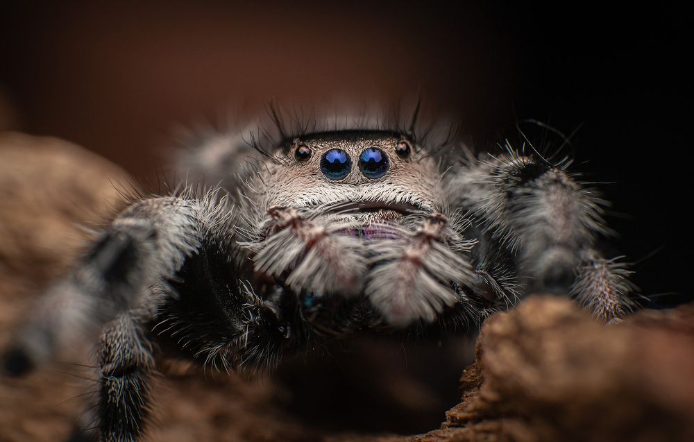 Photograph by Norman Celis