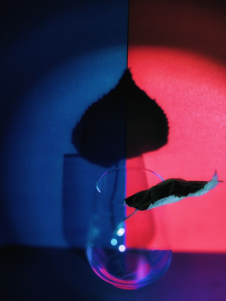 Photograph by Татьяна Гулакова