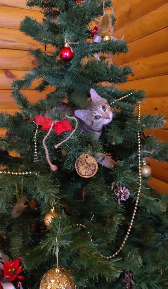 Photograph by Татьяна Гулакова