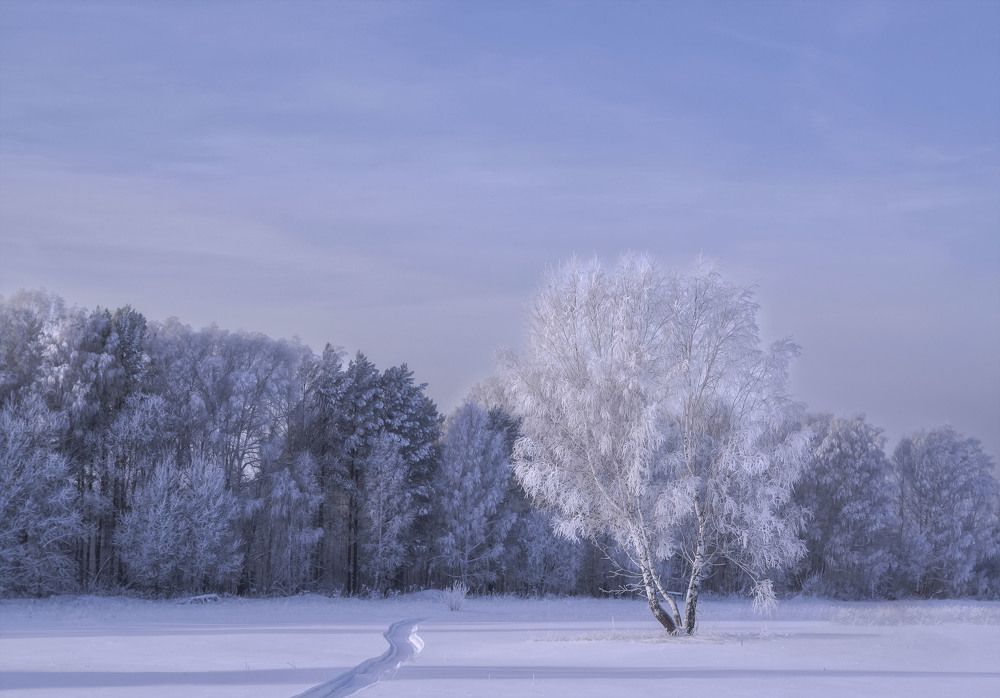 Photograph by Юлия Лушникова