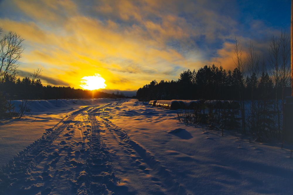 Photograph by Григорий Шишонков