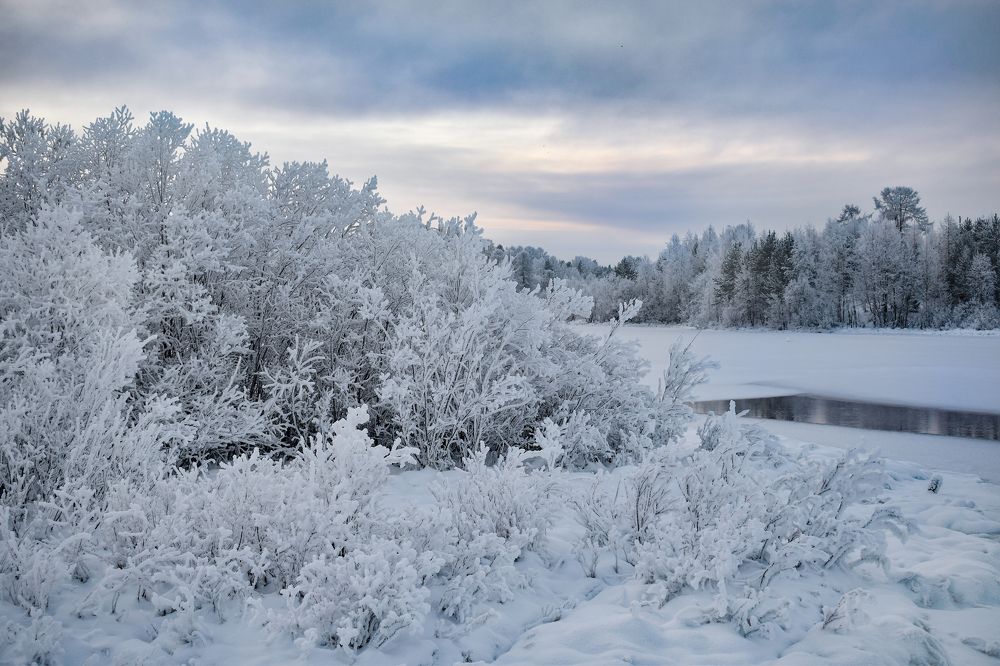 Фотография автора Оксана Льдинина