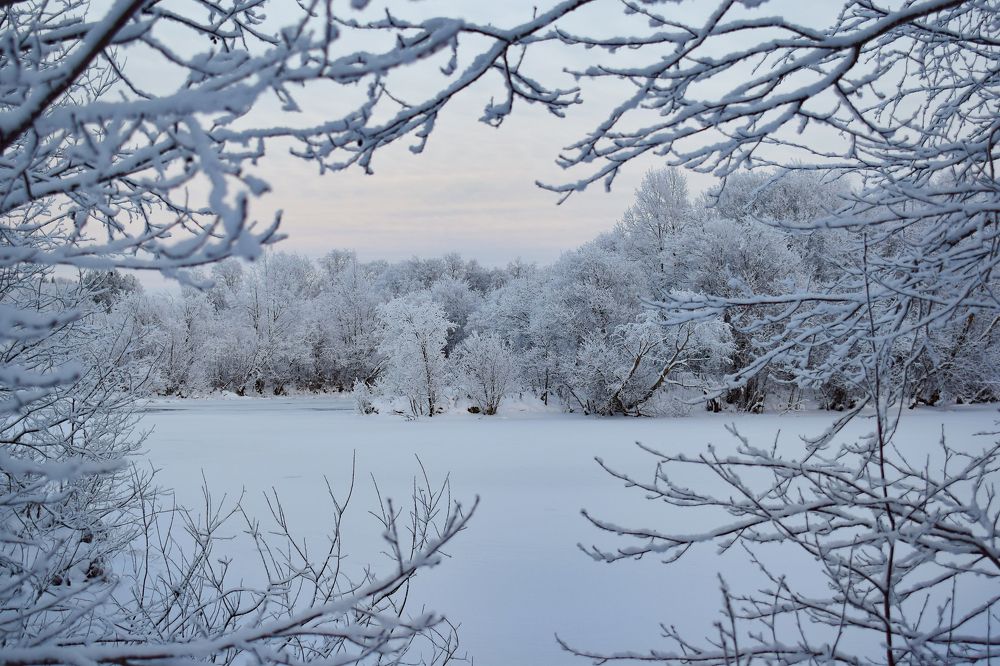 Фотография автора Оксана Льдинина