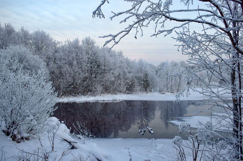 Фотография автора Оксана Льдинина