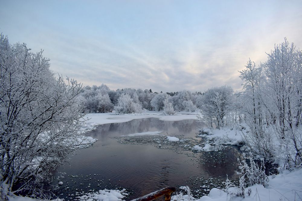 Фотография автора Оксана Льдинина