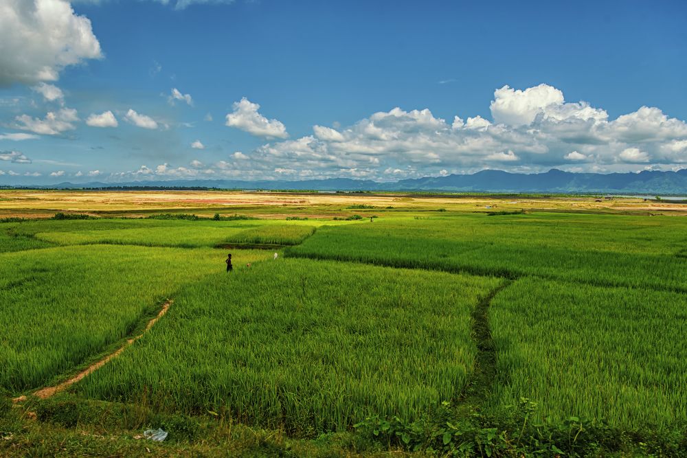 Photograph by Pepi Perdiansyah