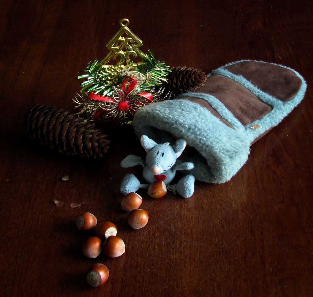 Фотография автора Роман Савоцкий