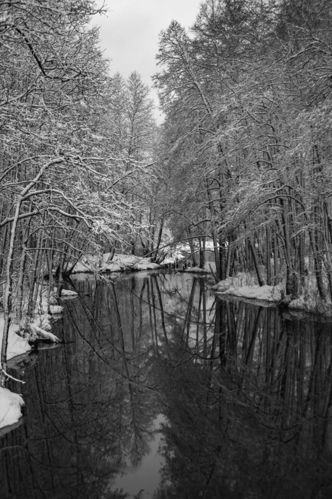 Фотография автора Вадим Лабитов