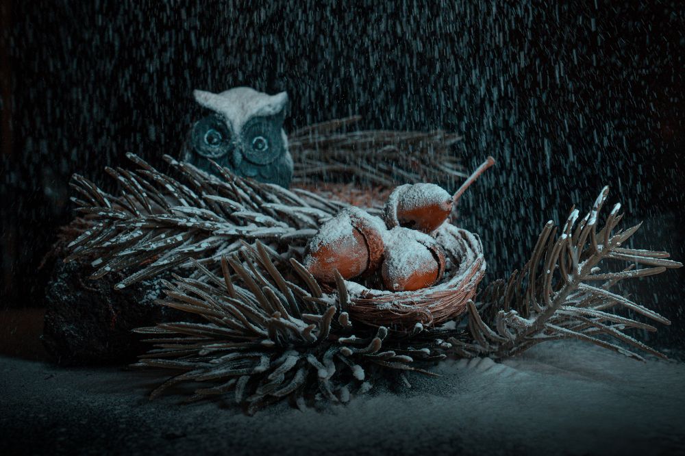 Photograph by Tatiana Grinko