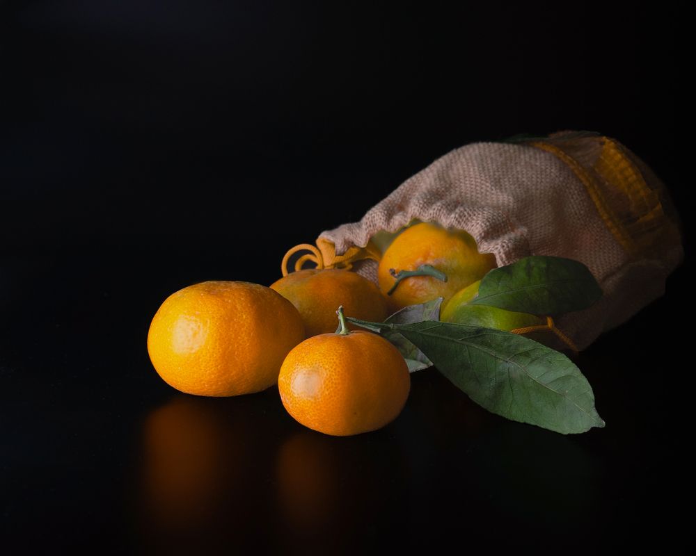 Photograph by Tatiana Grinko