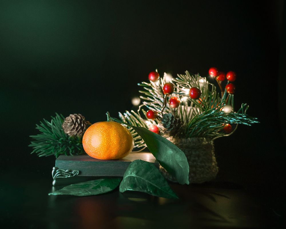Photograph by T.Ю. Гринько