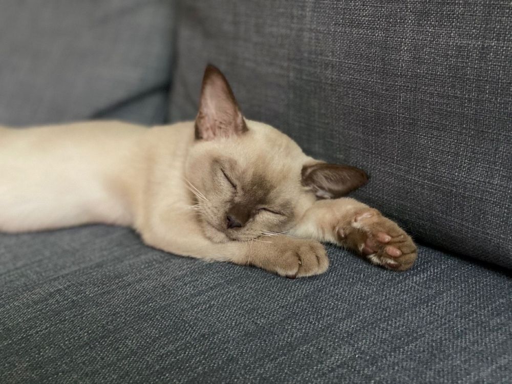 Photograph by Ирина Сбоева