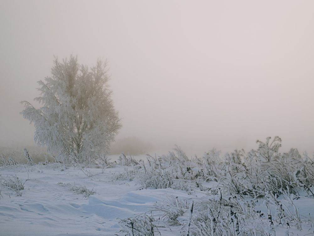 Photograph by Денис Рузаев