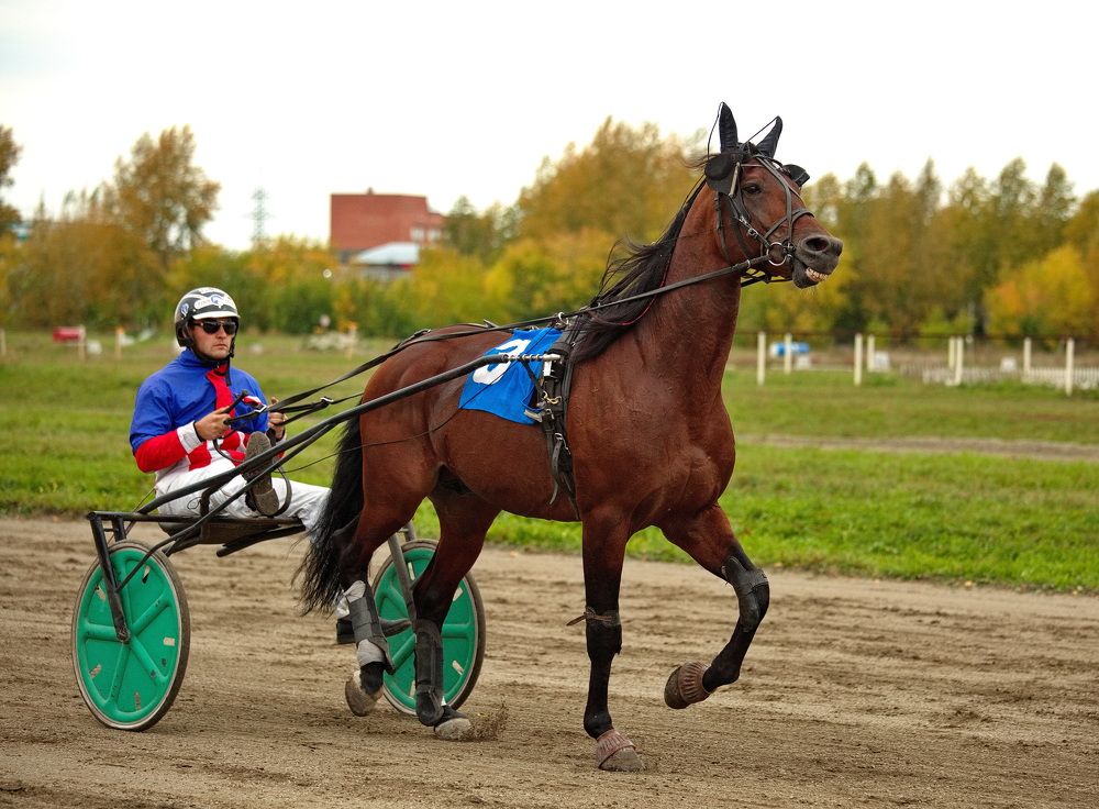 Photograph by Алексей Хазов