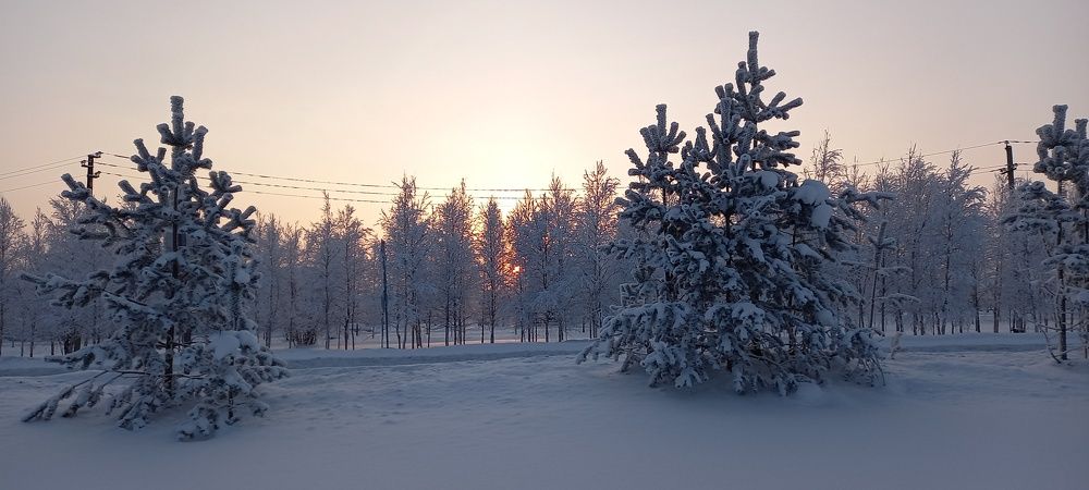 Фотография автора Евгения Зайцева