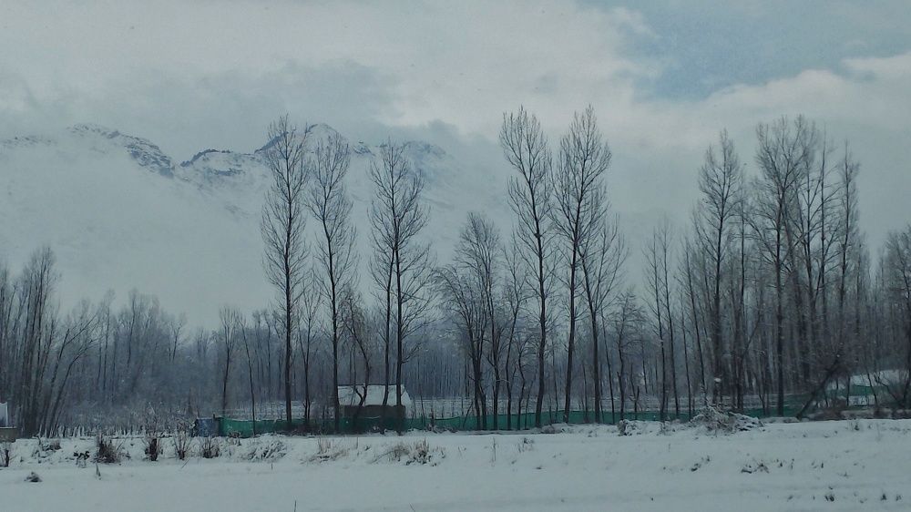 Photograph by Firdous Parray