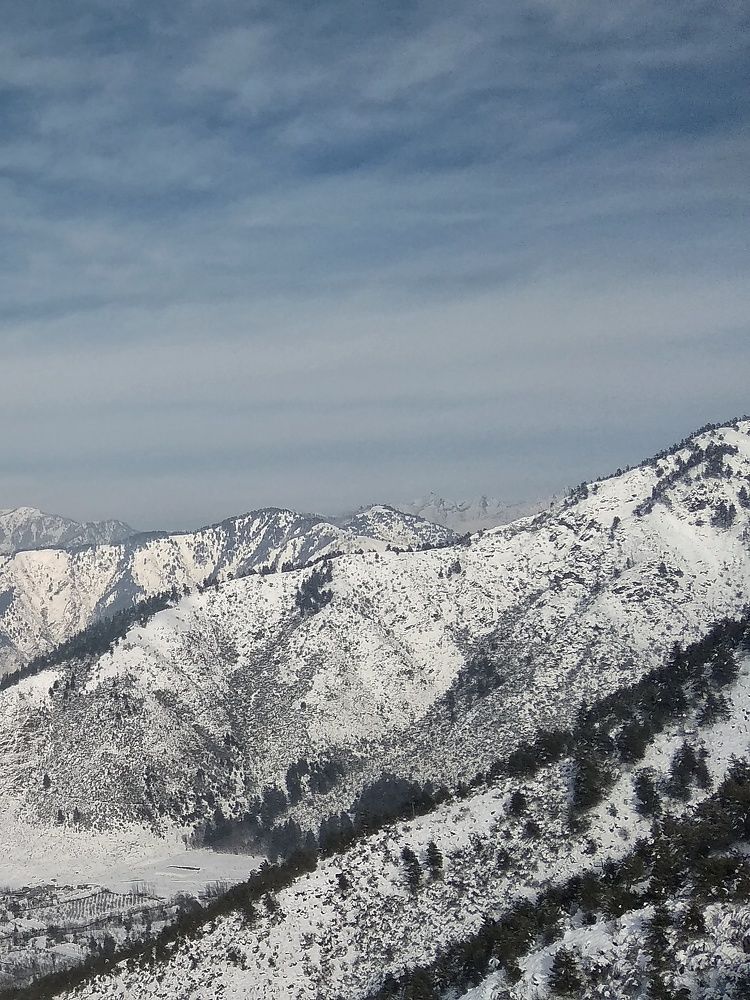 Photograph by Firdous Parray