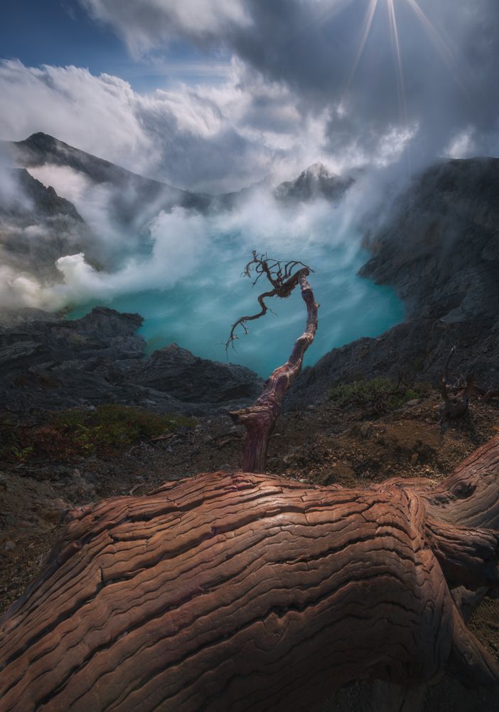 Photograph by Helga luna