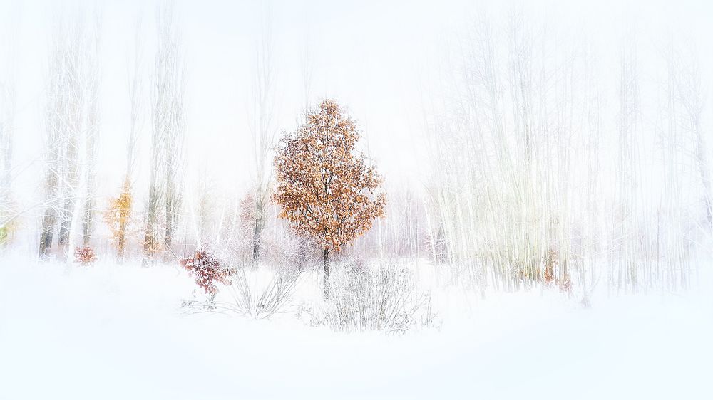 Фотография автора Игорь Хлибович