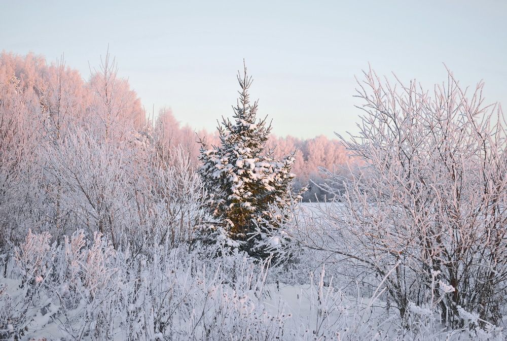 Морозный закат.