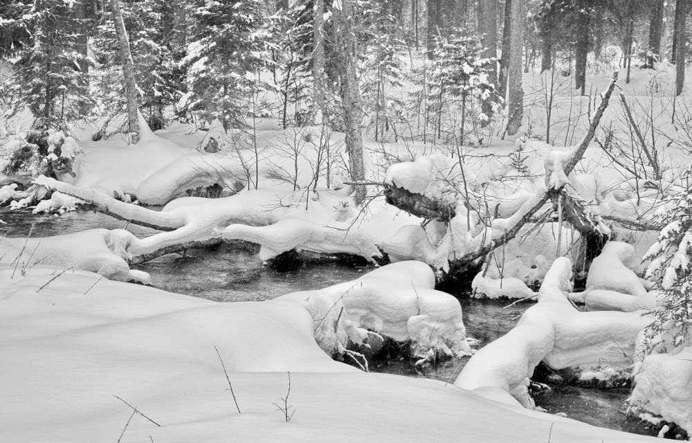 Причуды зимней речки.