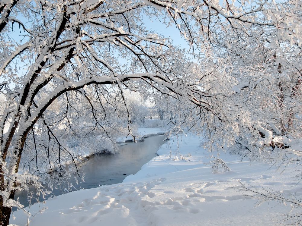 Зимние кружева