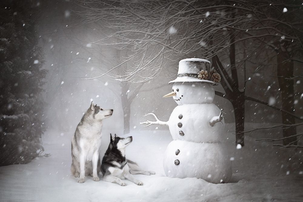 Photograph by Natalia Hidalgo