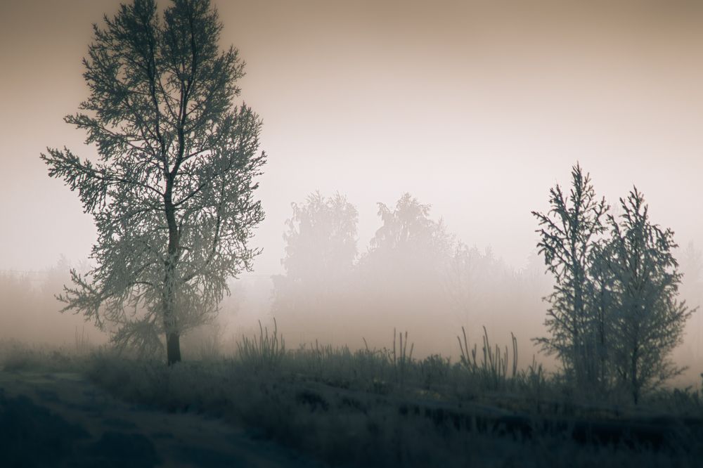 Photograph by Денис Рузаев