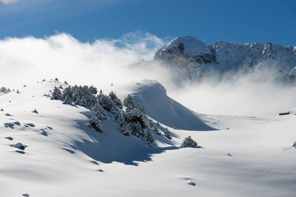 Photograph by Андрей Овсов