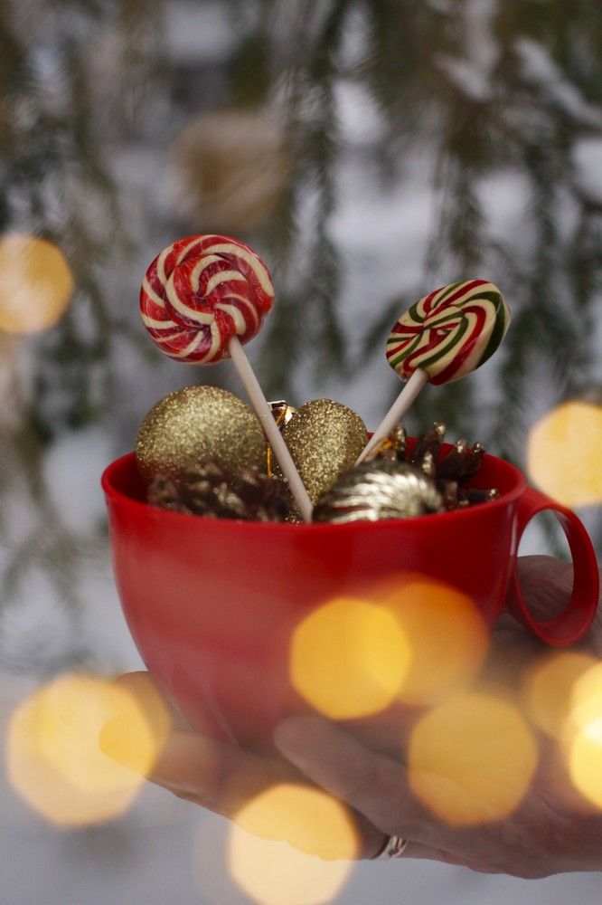 Photograph by Елена Карпухно