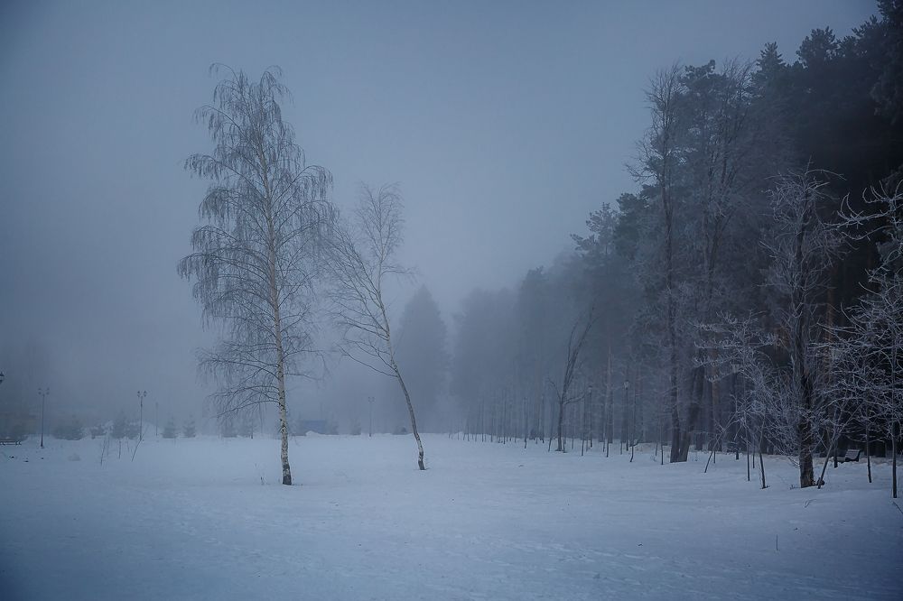 Photograph by Алексей Трифонов