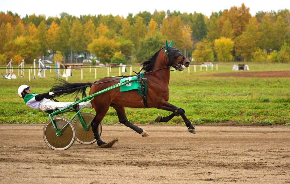 Photograph by Алексей Хазов