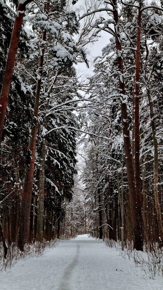 Photograph by Elena Tamošauskaite