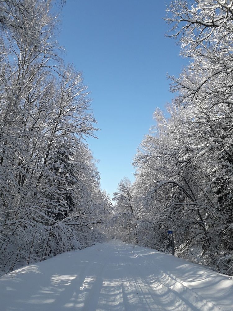 Photograph by Марина Гусева