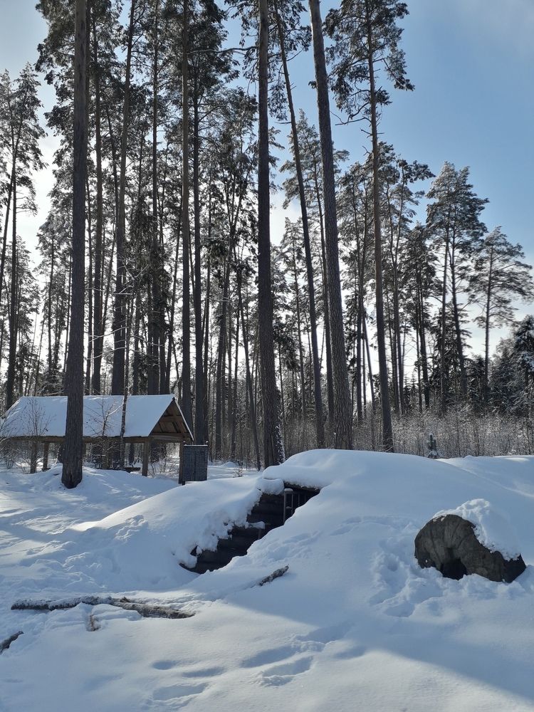 Photograph by Марина Гусева