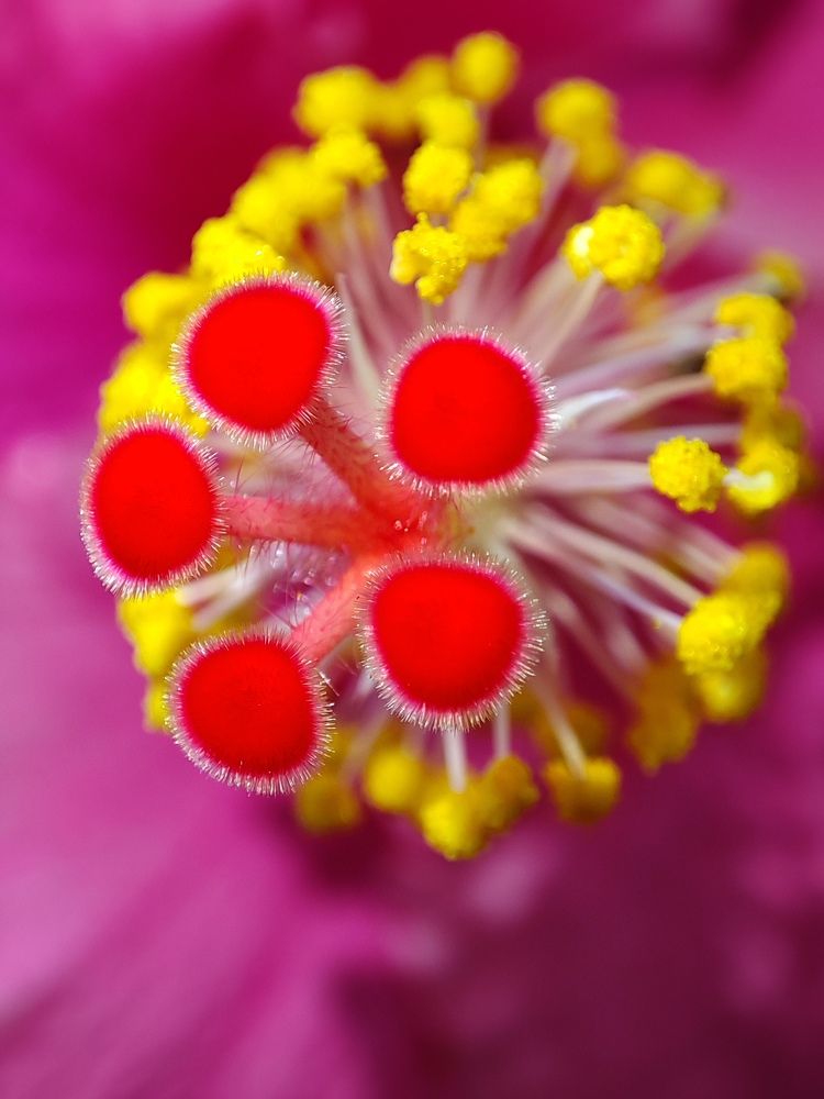 Photograph by Anup Ramesh Gharat