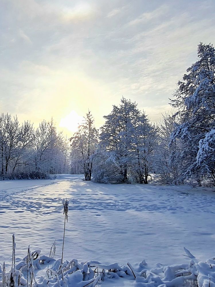 Photograph by Elena Lukashina