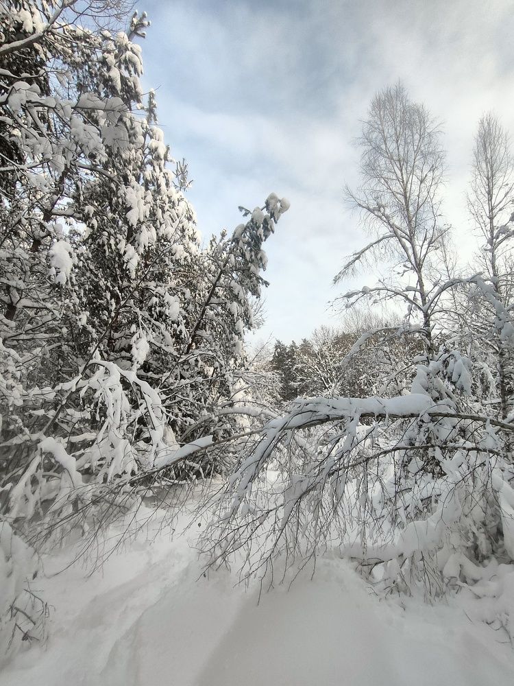 Photograph by Владислав Молев