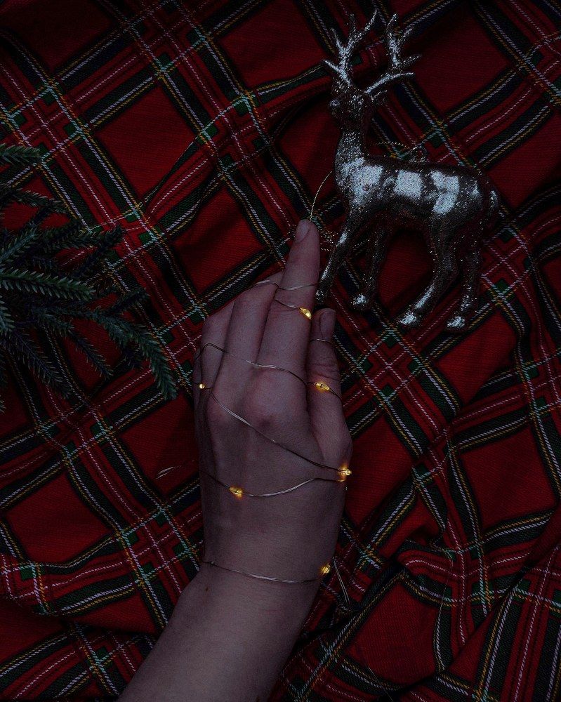 Photograph by Darya Kisnyarkina